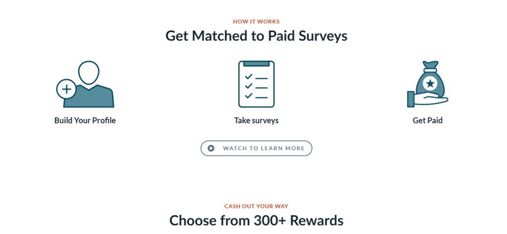 Branded Surveys Review: How it works