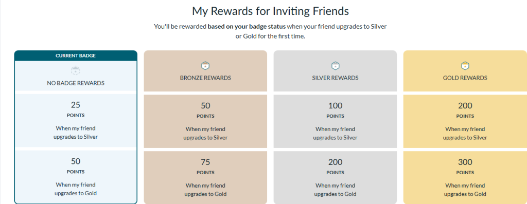 Branded Surveys Referral program