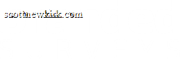 Branded Surveys